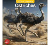 Ostriches Calendar 2026: A Year of Tall and Elegant Ostriches Running Free | Kalender Calendario Calendrier