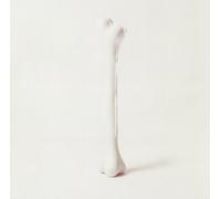 Oswald,Moritz Von - Restructure 2 [Vinyl Maxi-Single] [VINYL]