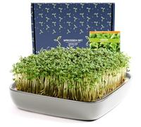 Otaro Microgreens Growing Kit with Cress Seeds from Germany | Ready to Go Sprouting Kit | Elegant Seed Trays with Steel Sieve & Ceramic Bowl | Cress Seeds for Kids to grow | (Light Gray)