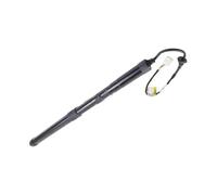 OTBEHUWJ 51249465654 Car Accessories Electric Tailgate Support Rod For B&MW X2 F39 2018 2019 2020(1pcs)