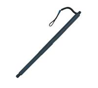 OTBEHUWJ Rear Power Electric Liftgate Tailgate Support Strut For X3 F25 2011-2014 51247232003 51247432741 51247232004 51247432742(left)