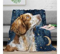 OTBSDNKZZ 3D Printed Dog gazing stars Home Blanket Microfiber Warm Soft Bedding Cosy Artistic watercolor Sofa Throw Lightweight All Season for Adults Teens Guests Families 60x80inch(150x200cm)