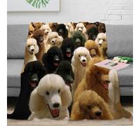 OTBSDNKZZ 3D Printed Poodle collection Soft Throw Microfiber Soft Cosy Bedding Warm Colorful pet styling Thermal Blanket Anti Static No Shedding for Men Women Kids Households 40x50inch(100x130cm)