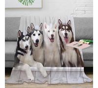 OTBSDNKZZ 3D Printed Siberian Husky Sofa Throw Microfiber Warm Soft Bedding Lightweight Cute dog Warm Blanket Breathable All Season for Homeowners Renters Adults 70×80inch(180x200cm)