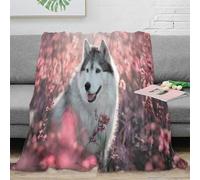 OTBSDNKZZ 3D Printed Siberian Husky Throw Blanket Microfiber Soft Warm Bedding Breathable Nature Landscape Warm Blanket Thoughtful Gift for Christmas Thanksgiving 70×80inch(180x200cm)