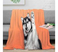 OTBSDNKZZ 3D Printed Siberian Husky Warm Blanket Microfiber Soft Cosy Bedding Breathable Cute Pet Pose Living Room Throw Anti Static Fade Resistant for Kids Adults Families 80×90inch(200x230cm)