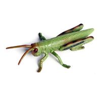 Otbushit Realistic Grasshopper Toy - Highly Detailed Bugs & Insect Collection for Kids Learning, Nature Study, Halloween Decor and Science Display