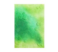 OTCRAFT 3D Pine Leaves, Pine Nuts Plastic Embossing Folders for DIY Scrapbooking Photo Album Card Paper Craft Decoration for Card Making,Embossing Template Paper Card Embossing Stencil