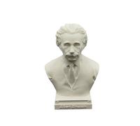 otdlle Isaac Newton Einstein Galileo Marie Curie Nikola Tesla Stephen Hawking Bust Head Sculpture Historical Statue Collectible Figurine Desk Top Home Decor (Albert Einstein, 4" Hx2.5 Wx2 D)
