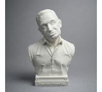 otdlle Stephen Hawking Bust Great Scientists Statue Decor Multiple Sizes | 6-inch Physical Scientist Decoration Historical Famous People Figurine Collectible Miniature Desktop Model Role-Playing