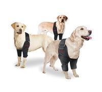 Oteengo Dog Elbow & Shoulder Protector Brace, Adjustable, Lightweight - for Arthritis, Hygroma, Dislocation, Calluses, Pressure Sores, Joint Injury, Mobility Support (Extra Large)