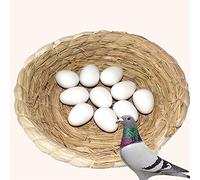OTEHOO 10 Pieces of Plastic Solid Pigeon Fake Eggs, Dove Fake Eggs, Soothe The Emotions of Pigeons