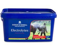 Dodson and Horrell Electrolytes for Horses - 15kg Tub