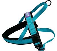 Other Dog & Co Nylon Norwegian Harness Reflective Aqua Small, clear