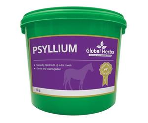 Other GLOBAL HERBS PSYLLIUM 1kg, clear, one size