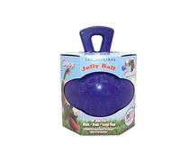 Jolly Pets Dual Jolly Ball 8" Purple