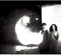 Other Lives - Tamer Animals [VINYL]