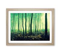 Otherworldly Summer Forest Framed Print | A2 Oak Framed Wall Art | Ready to Hang | Modern Landscape Picture | Living Room Bedroom Lounge Office