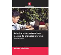Otimizar as estratégias de gestão de projectos híbridos