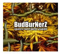 Otis - Concerto pour Plantes Vivaces