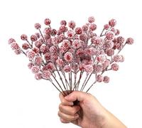 OTKARXUS Christmas Artificial Red Berries Stems,20Pcs Snowy Holly Berries Picks,Winter Berry Branches for Christmas Wreath Making Supplies Xmas Tree Decorations Home Party Decor (Red Berry)