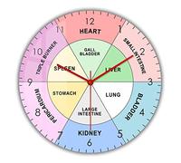 OTKU 12 inch Quiet Wall Clock Chinese Organ TCM Body Clock Traditional Chinese Medicine Modern Design Wall Clock Energy Cycles For Health And Healing Artwork For Home Wall Decor