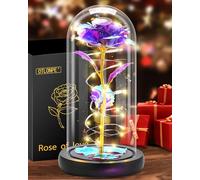 Otlonpe Christmas Rose Gifts for Women Mum, Valentines Mothers Day Anniversary Birthday Gifts for Her Wife Girlfriend Sister, Light Up Eternal Glass Flowers Home Office Table Decorations (Purple)