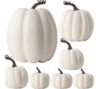 OTMVicor 7Pcs Artificial Pumpkins,Autumn Decoration,White Pumpkin for Thanksgiving Fall Harvest Halloween Christmas