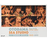 OTODAMA SEA STUDIO 2019 supported by POCARI SWEAT J=J Summer Special [DVD]
