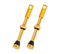 OTOTEC 2 Pack Gold Tubeless Valves Set 60mm Aluminium Alloy Compatible With Peaty's Compatible With Muc-Off