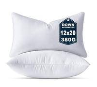OTPIPCS 30 x 50 CM Cushion Insert Set of 2 Down Alternative 12 x 20 Inch Throw Pillow Inserts Small Lumbar Decorative Cushion White Rectangle Pillows Stuffing for Living Room Couch Bed Sofa Cushions