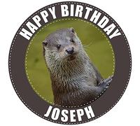 Otter - Any Size (4in - 7.5in) Personalised Edible Cake Topper on Premium Icing