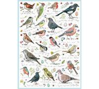 JIGSAW 1000 PIECE RECTANGULAR MADELEINE