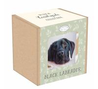 Otter House Black Labrador Mug