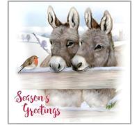 Otter House Charity Christmas Cards - Pack of 10 Premium Christmas Greeting Cards with Envelopes - Festive Donkeys & Robin - Supporting UK Charities