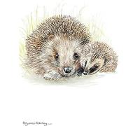 Otter House Gift Notecard Pack - Hedgehog Pair