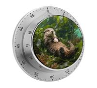 Otter in Kelp Bed Kitchen Timer 60 Minute Visual Wind Up Timers Indoor Mechanical Timers with Magnetic Base Stainless Steel Timer for Home Cooking Time Management Tool