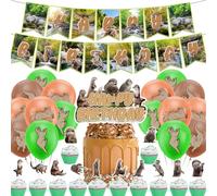 Otter Party Supplies Otter Party Decorations Includes Otters Happy Birthday Banner Cake Topper Cupcake Toppers Balloons for Otters Birthday Decorations