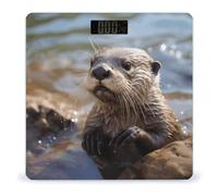 Otter Playing in The Water Scale for Body Weight with LCD Display Sturdy Tempered Glass Weighing Scales Accurate Digital Bathroom Scale Fashion Body Fat Smart Scales 400 Lb