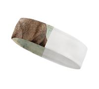 Otterly Exhausted Sweatbands Wicking and Moisture-Wicking Function Running Headband Cotton Polyester Fiber Sweat Band for Tennis Basketball Running Gym Working Out