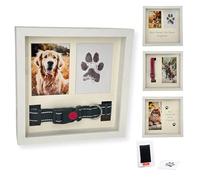 OtterPets Memorial Picture Frame for Pets - Paw Print Kit - Remembrance for Dogs & Cats - Shadow Box with Collar - Keepsake Tribute for Sympathy - Loss of Dog Bereavement Gift (White)