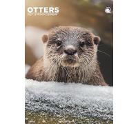 Otters - A3 Calendar 2027