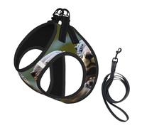 Otters Print Soft Mesh Dog Harness and Leash Set Pet Puppy Cat Comfort Padded Vest No Pull Harnesses