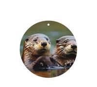 Otters Printing 10 Pcs Car Air Freshener Hanging Sheets Scented Hanging Sheets With Rope For Home