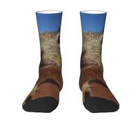 OTTKGGA Mouse Ankle Socks Crew Socks Uk 4-9 Eu 36-44 Mid-Crew Length Breathable Everyday Sports Unisex