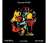 Ottonello, Mateo / Henry Solomon / David Binney - Buscando El Sol [Vinyl LP] [VINYL]