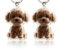OUDQFCJ 2pcs Dog Hair Collector Keepsake Keychains Pet Hair Keepsake Cute Keychain Keepsake Box (Transparent)