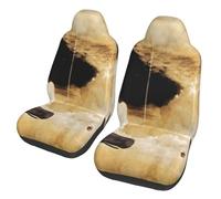 Oudrspo Abstract Art Galaxy Guide Hitchhikers Surreal Universal Car Seat Covers 2-Piece Set - Stretch-to-Fit Front Seat Protectors for Cars, Trucks & Suvs