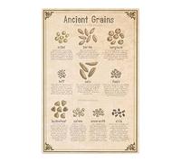 Oudrspo Ancient Grains The Pork Cuts Range Metal Signs Farmhouse Science Wall Decor Butcher Knowledge Posters Barbecue Party Home Kitchen Tin Plaque Decoration 12x16 inchses