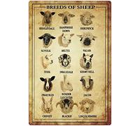 Oudrspo Breeds Of Sheep Metal Tin Signs Sheep Knowledge Retro Poster Farm Science Wall Decor Farmer Home Room Farmhouse Decor 8x12inch